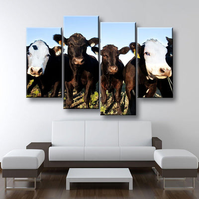 Angus Cattle - Amazing Canvas Prints