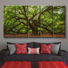 Angel Oak Tree - Amazing Canvas Prints