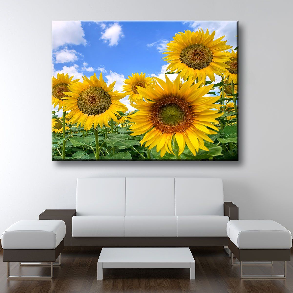 Blooming Sunflower Field - Amazing Canvas Prints