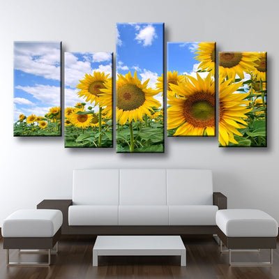 Blooming Sunflower Field - Amazing Canvas Prints