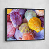 Colorful Scallop Seashells - Amazing Canvas Prints
