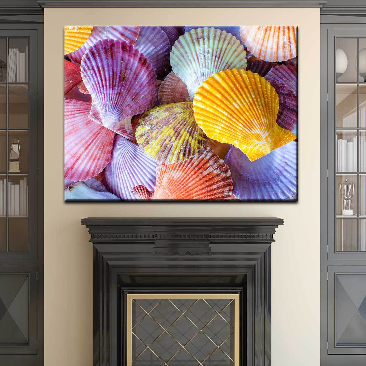 Colorful Scallop Seashells - Amazing Canvas Prints