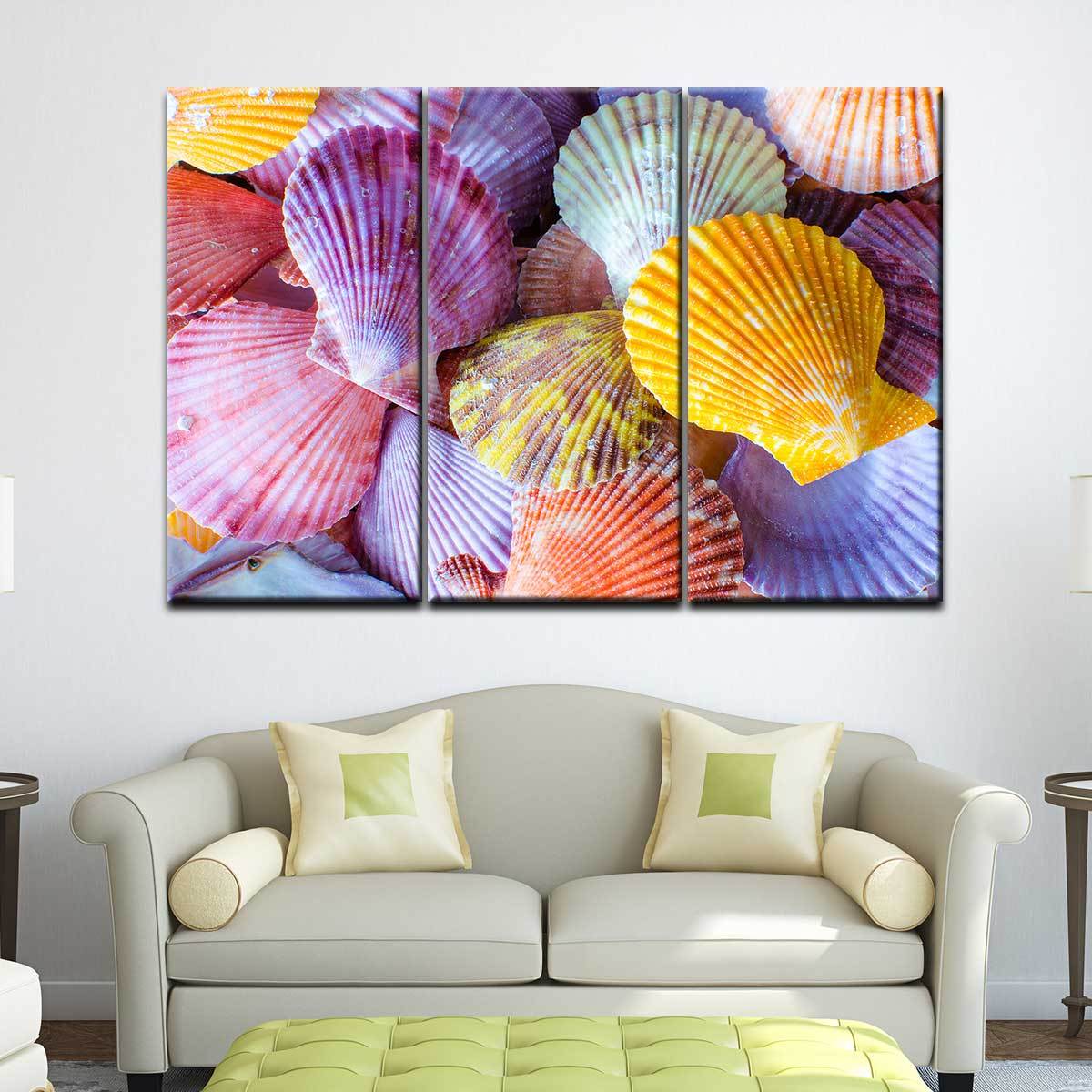Colorful Scallop Seashells - Amazing Canvas Prints