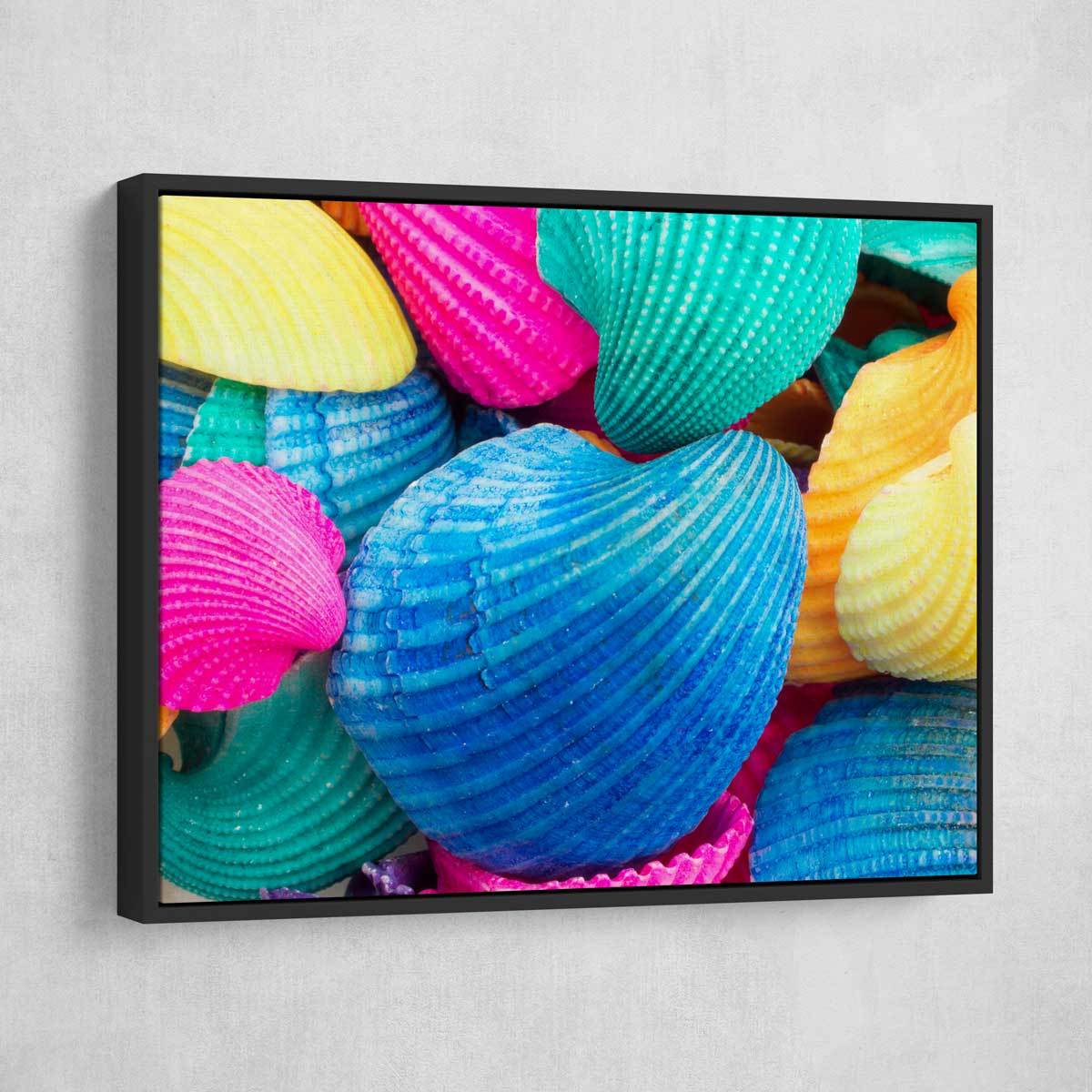 Colorful Seashells - Amazing Canvas Prints