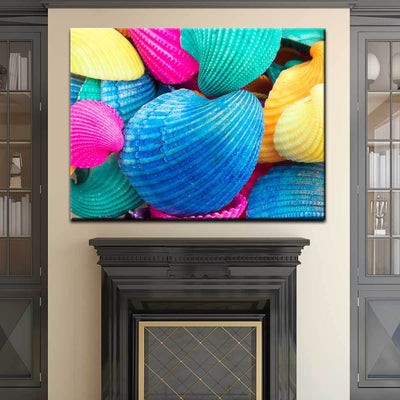 Colorful Seashells - Amazing Canvas Prints
