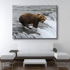 Fishing Grizzly Bear - Amazing Canvas Prints