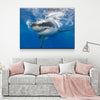 Great White Shark - Amazing Canvas Prints