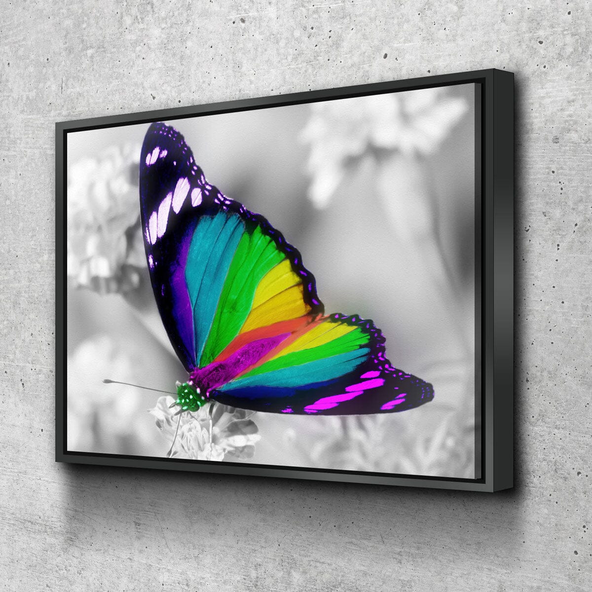 Rainbow Butterfly - Amazing Canvas Prints