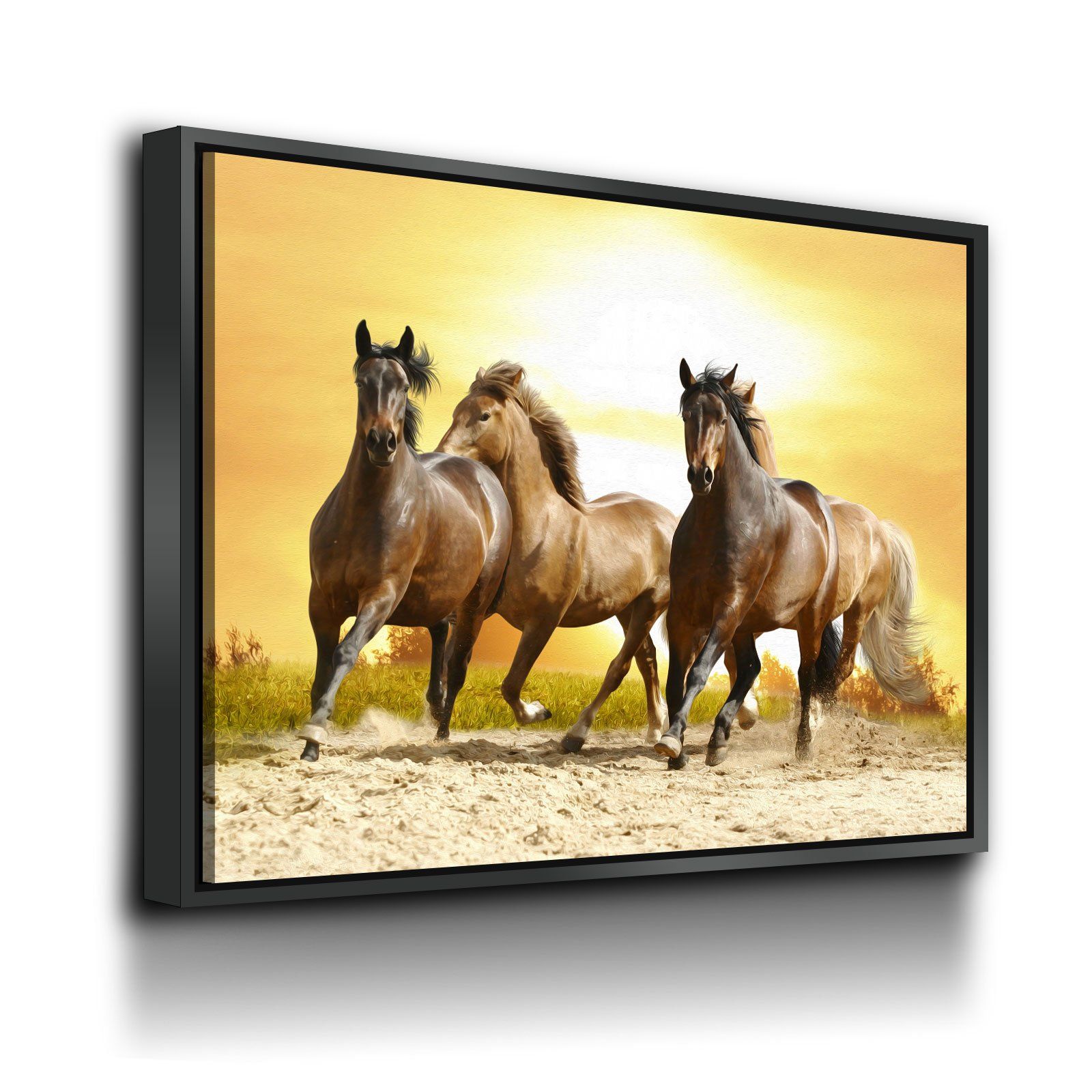Running Horses - Amazing Canvas Prints