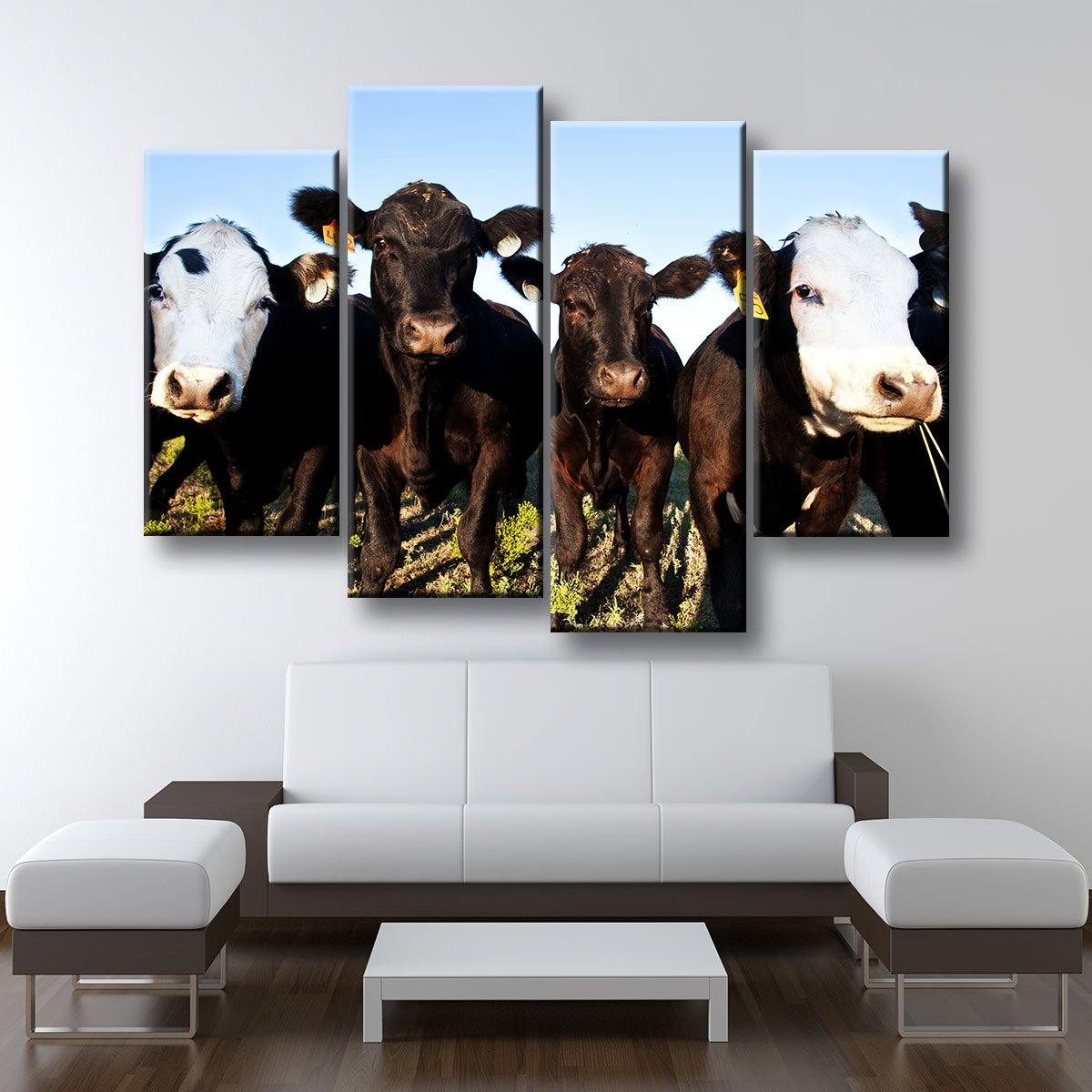 Angus Cattle - Amazing Canvas Prints
