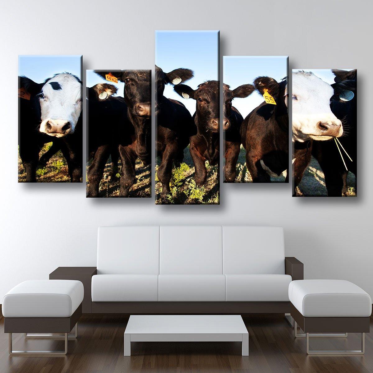 Angus Cattle - Amazing Canvas Prints