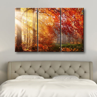 Autumn Forest Sun Rays - Amazing Canvas Prints