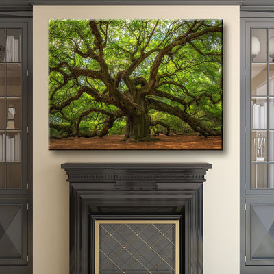 Angel Oak Tree - Amazing Canvas Prints