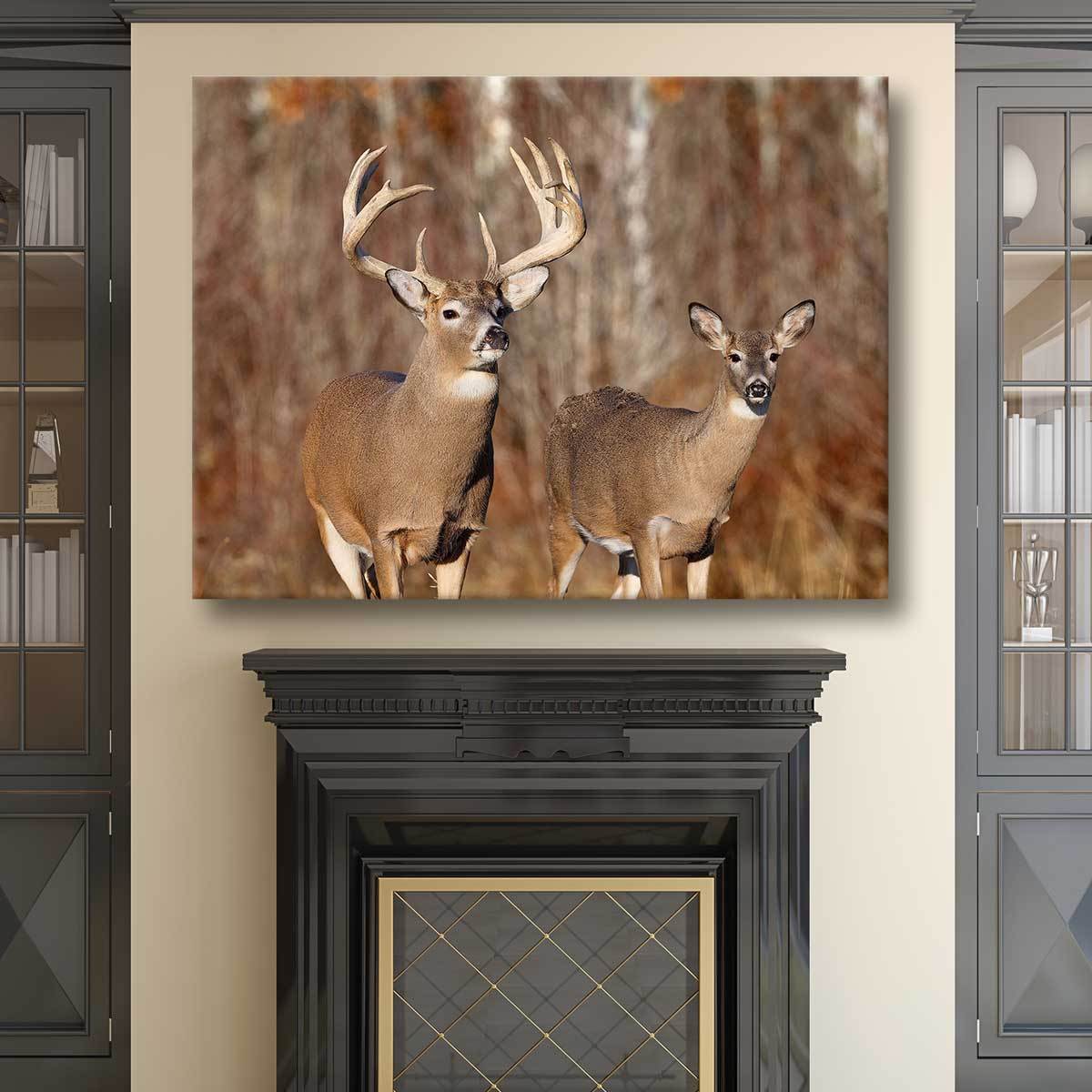 Buck And Doe - Amazing Canvas Prints