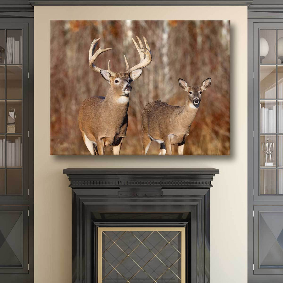 Buck And Doe - Amazing Canvas Prints