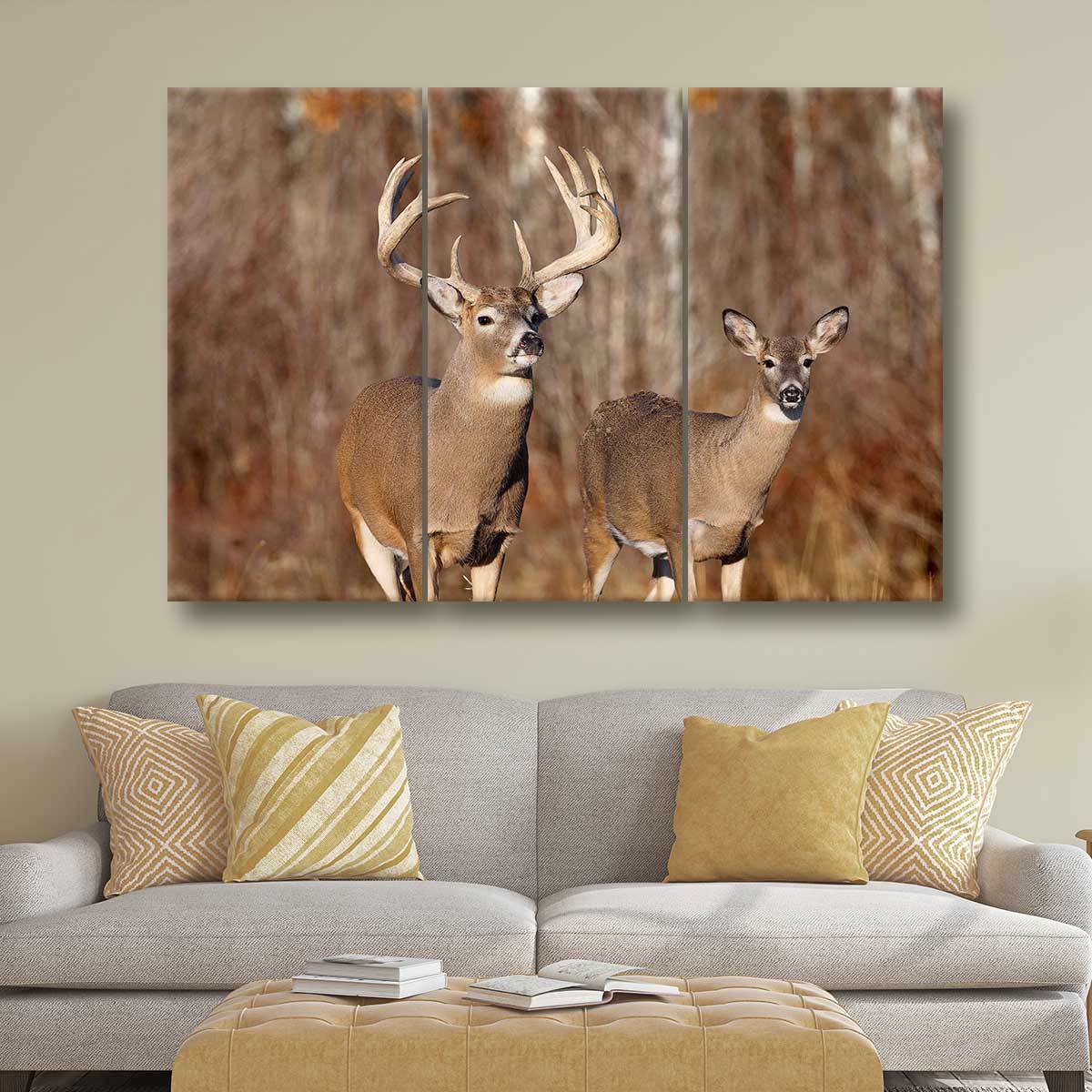 Buck And Doe - Amazing Canvas Prints