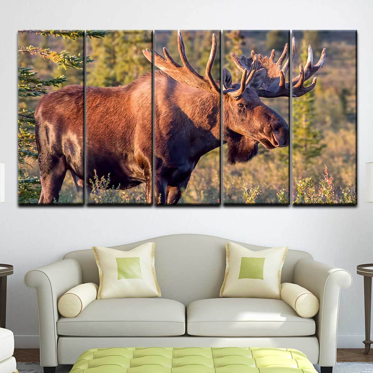 Bull Moose - Amazing Canvas Prints