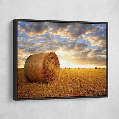 Farming Fields - Amazing Canvas Prints