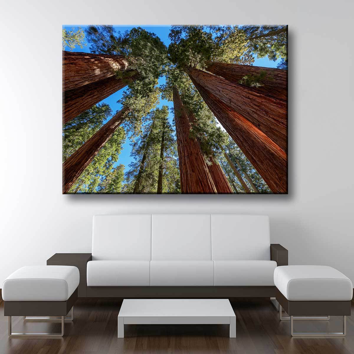 Giant Sequoia Trees - Amazing Canvas Prints