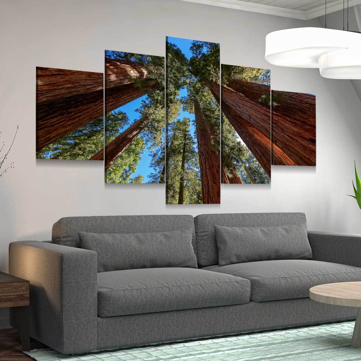 Giant Sequoia Trees - Amazing Canvas Prints