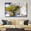 Honey Bee - Amazing Canvas Prints