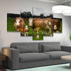 Hereford Cattle - Amazing Canvas Prints