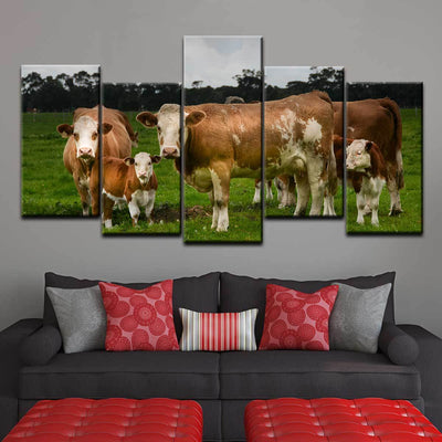 Hereford Cattle - Amazing Canvas Prints