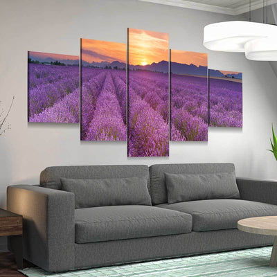Lavender Fields Sunrise - Amazing Canvas Prints
