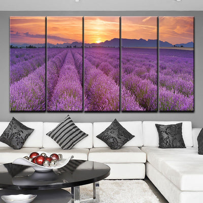 Lavender Fields Sunrise - Amazing Canvas Prints
