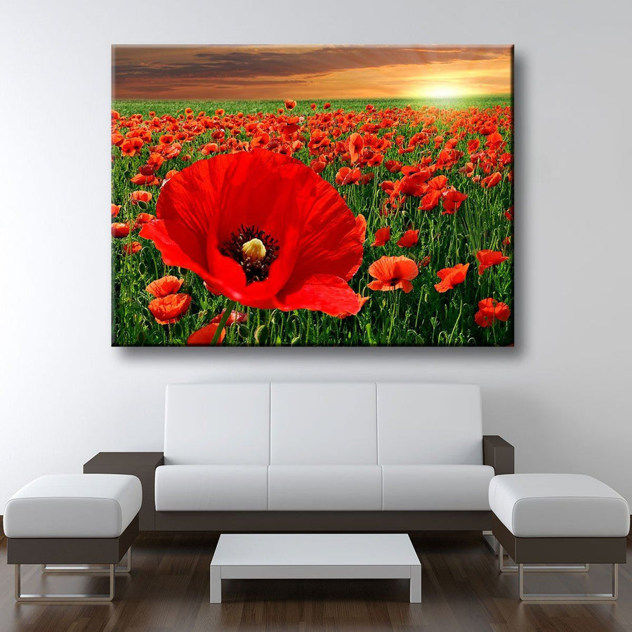 Poppy Fields - Amazing Canvas Prints