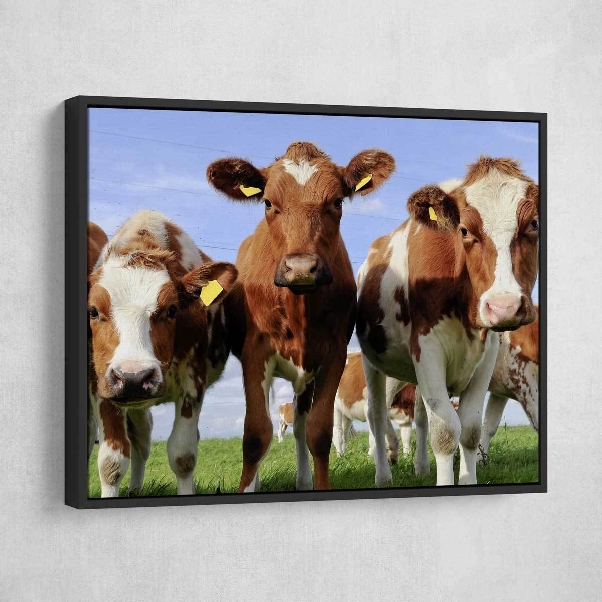Red Holstein Cattle - Amazing Canvas Prints