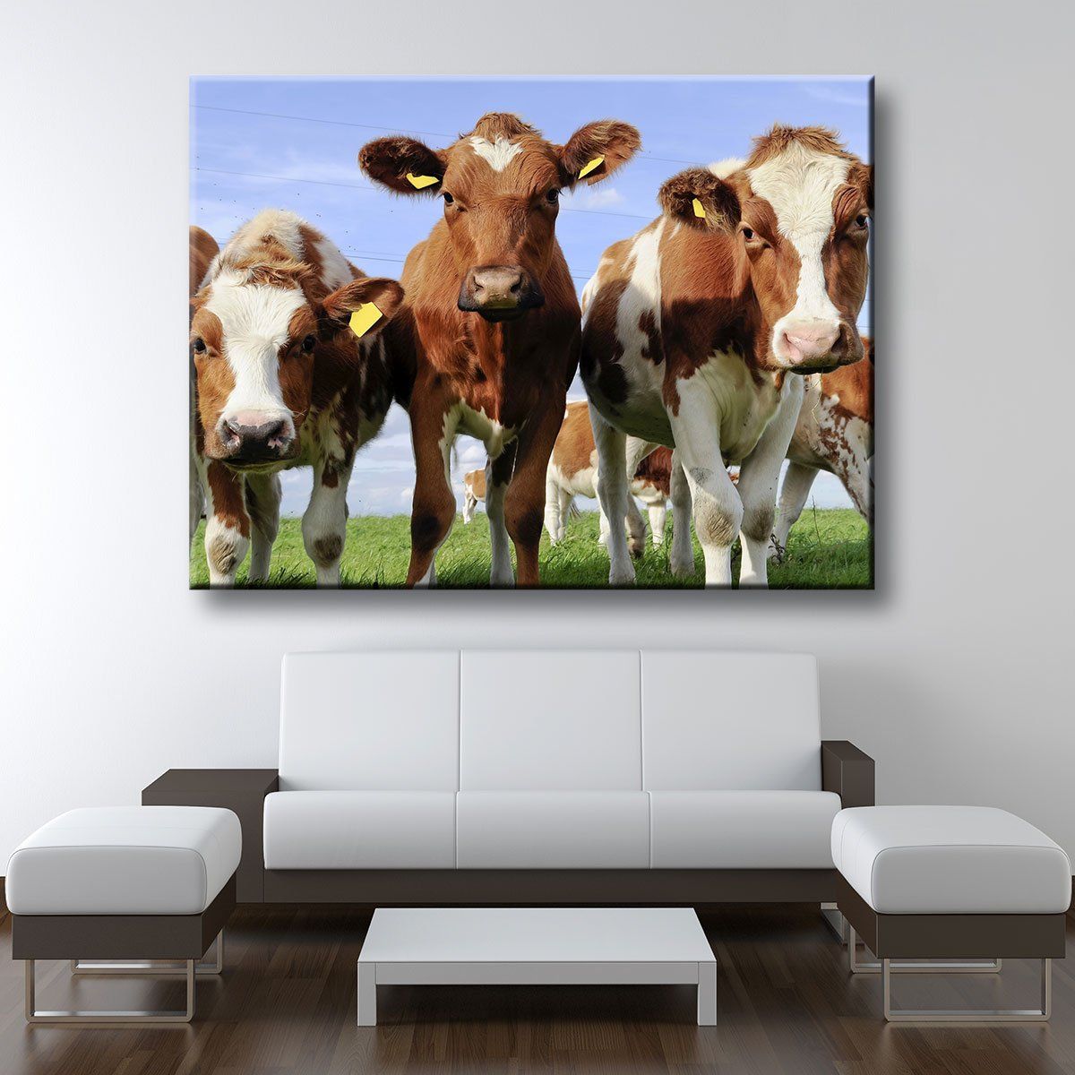 Red Holstein Cattle - Amazing Canvas Prints