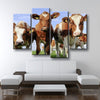 Red Holstein Cattle - Amazing Canvas Prints