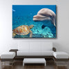 Sea Friends - Amazing Canvas Prints