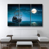 Ship In The Moonlight - Amazing Canvas Prints