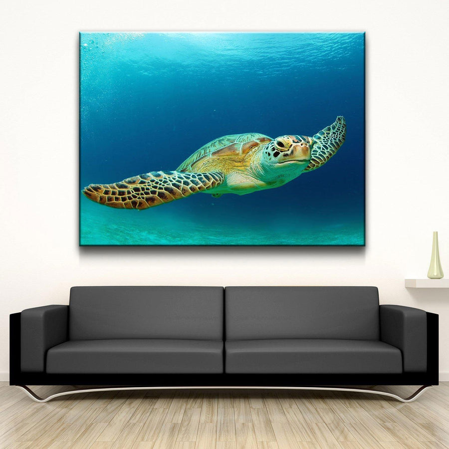 Sea Turtle - Amazing Canvas Prints