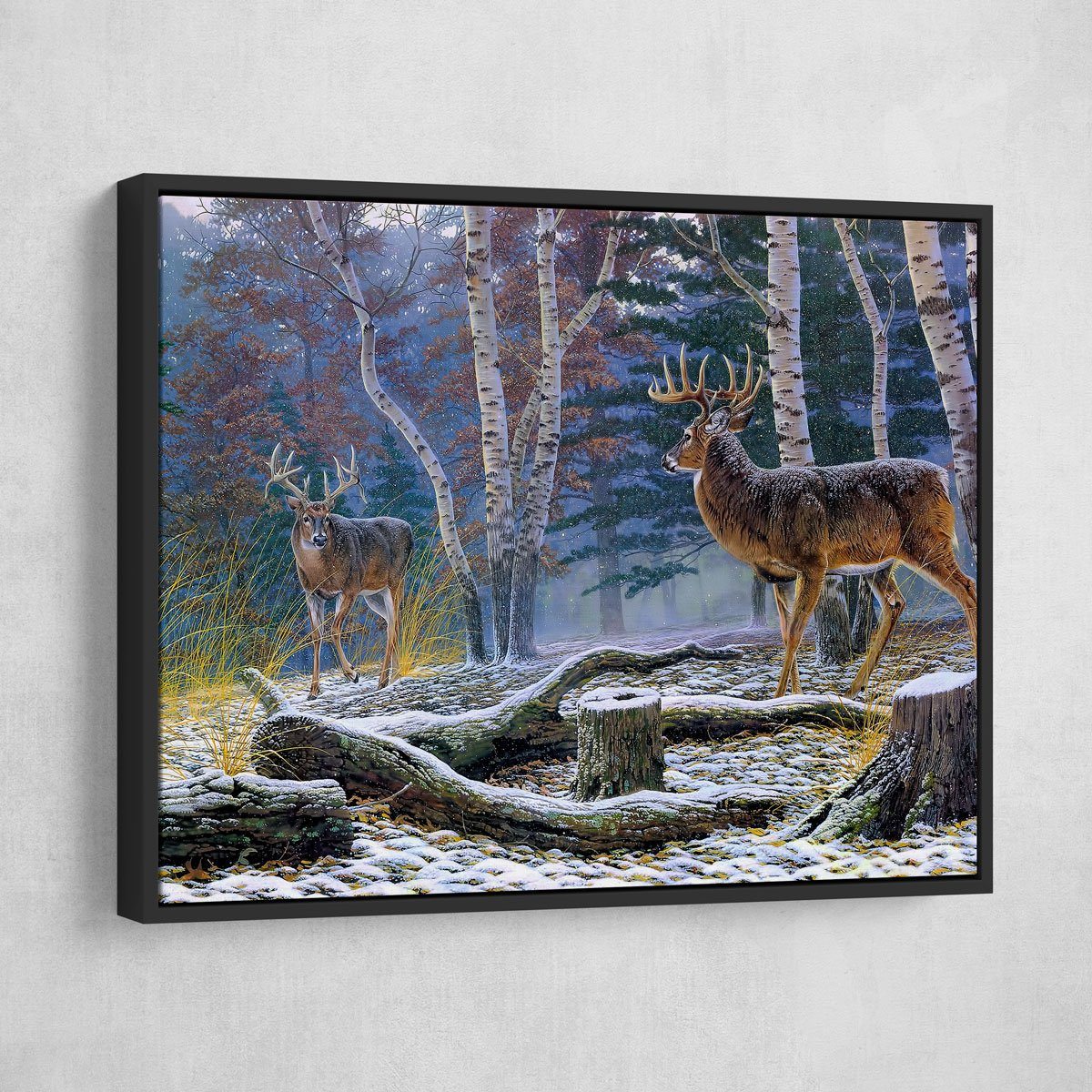 Who's King Buck - Amazing Canvas Prints