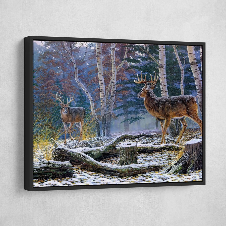 Who's King Buck - Amazing Canvas Prints