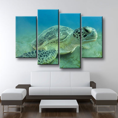 Young Sea Turtle - Amazing Canvas Prints