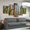 Sequoia Trees In Mariposa Grove - Amazing Canvas Prints