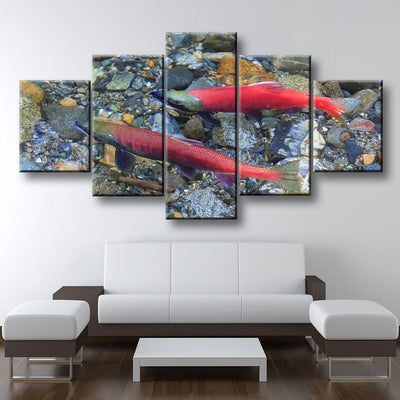 Spawning Salmon - Amazing Canvas Prints