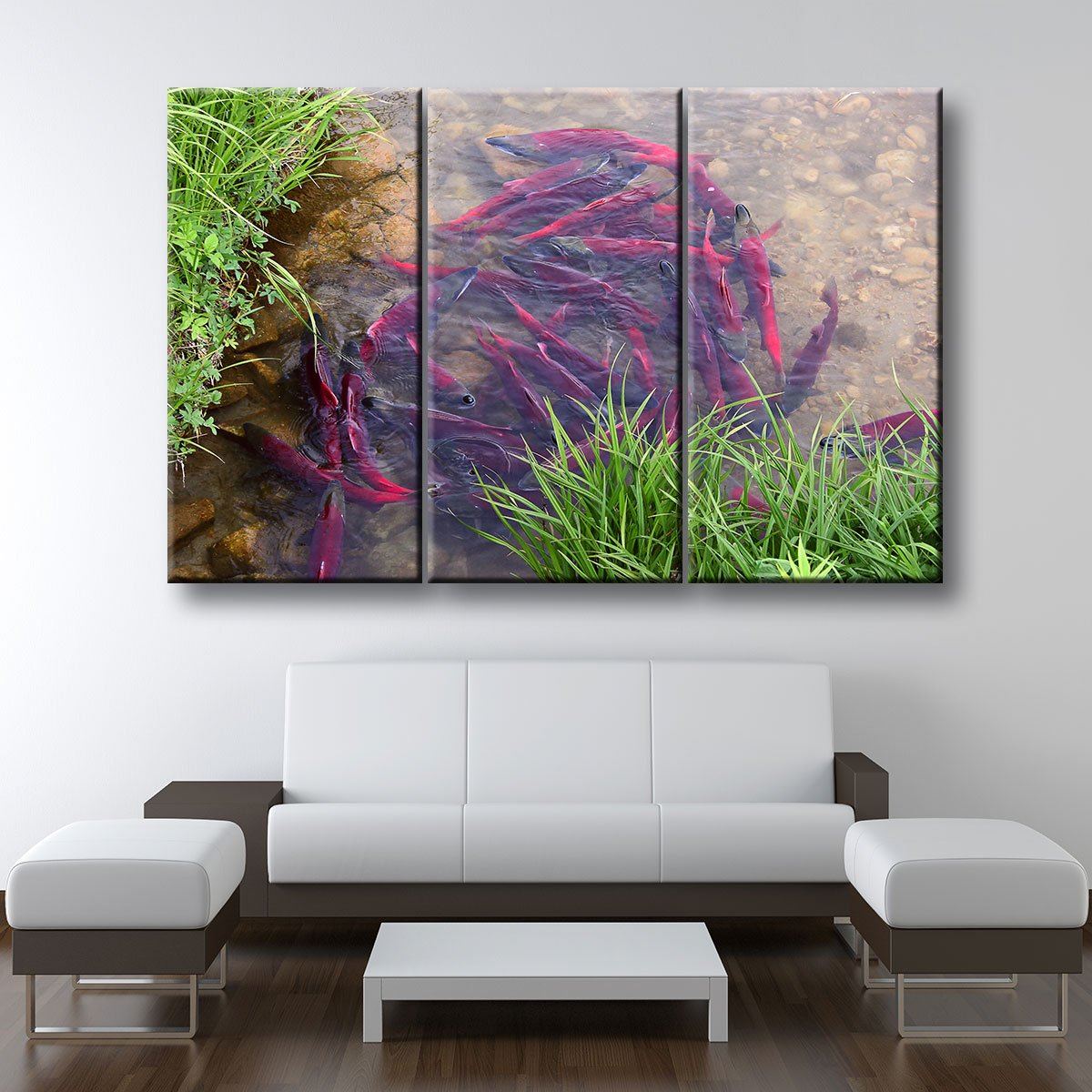 Spawning Sockeye Salmon - Amazing Canvas Prints