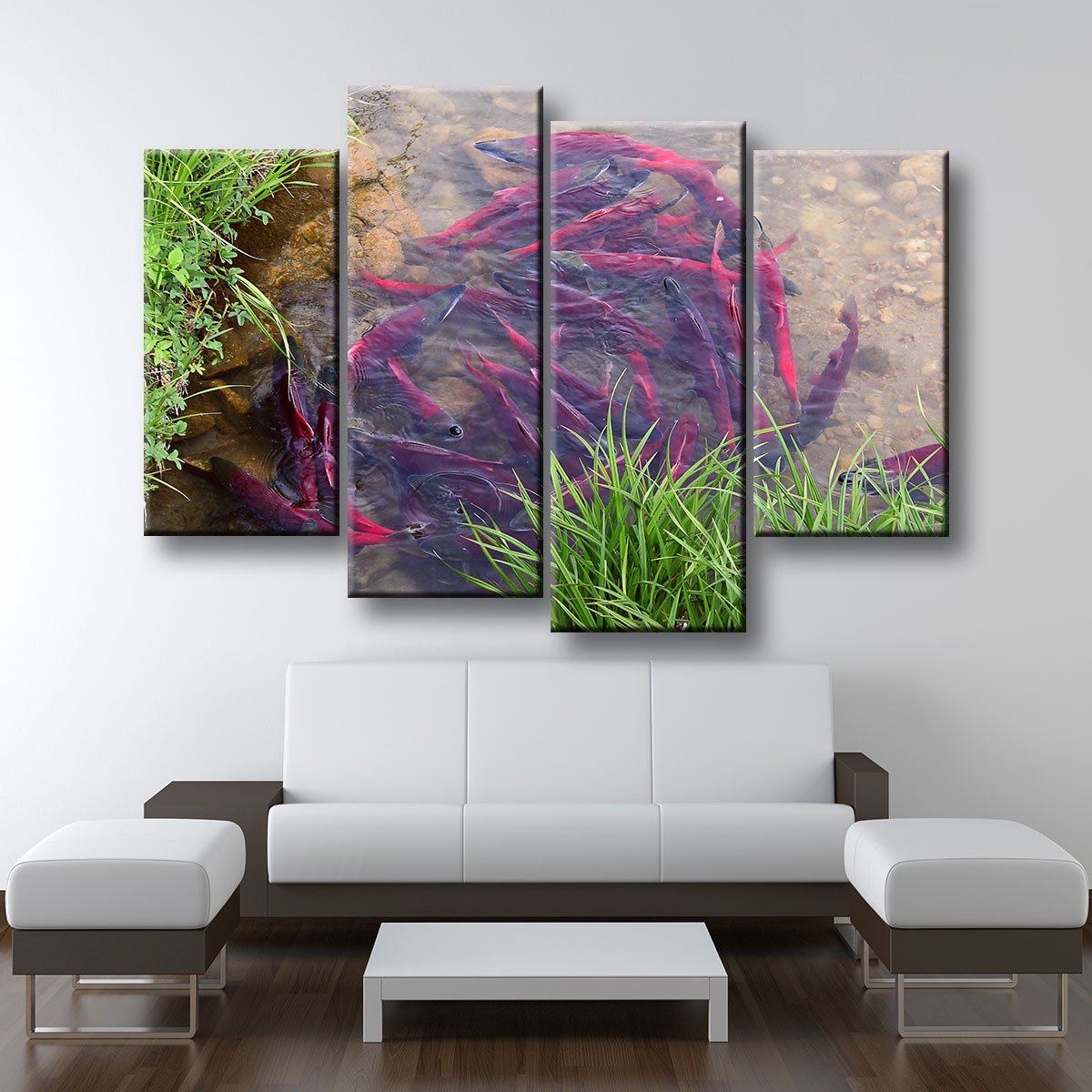 Spawning Sockeye Salmon - Amazing Canvas Prints