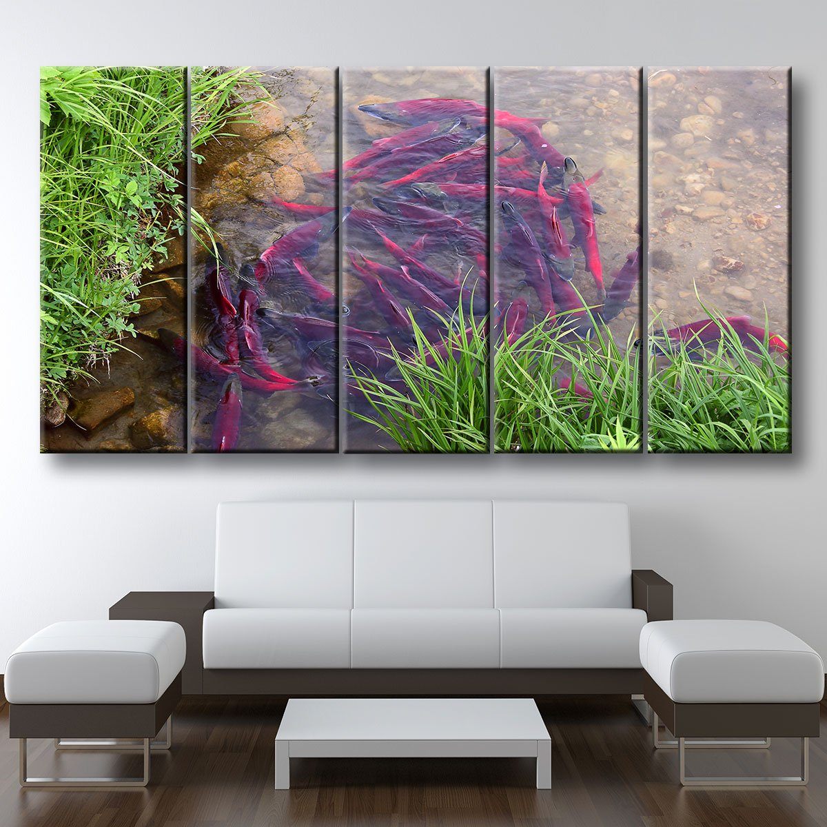 Spawning Sockeye Salmon - Amazing Canvas Prints