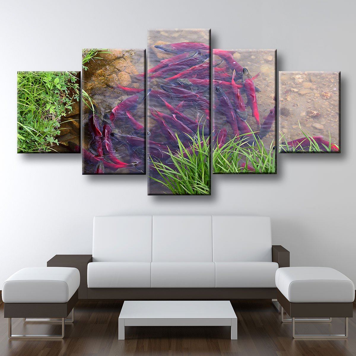 Spawning Sockeye Salmon - Amazing Canvas Prints