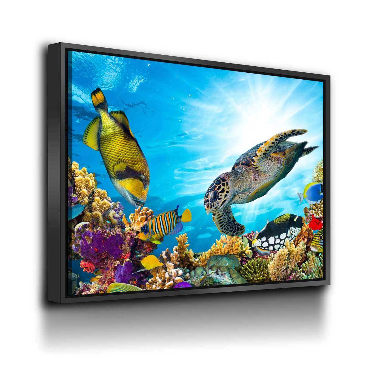 Under The Sea - Amazing Canvas Prints